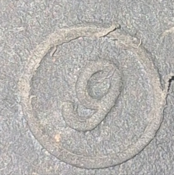 Black Slide On Sandals- W Sz 9 - Picture 3 of 5